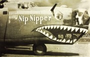 Nip Nipper