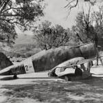 Fiat G 50 Fiat G 50