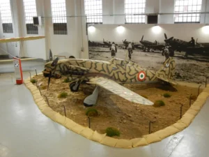 Il Macchi MC 205