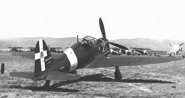 SAI 207 (vista posteriore)