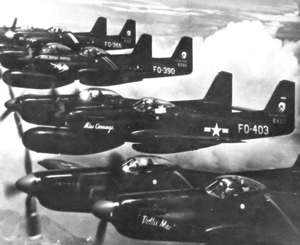 339th FS F-82G