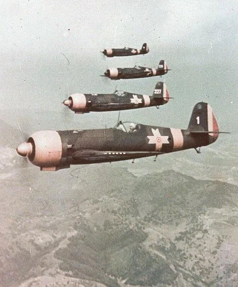 IAR 80 in volo
