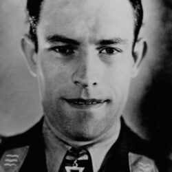 Heinrich Ehrler